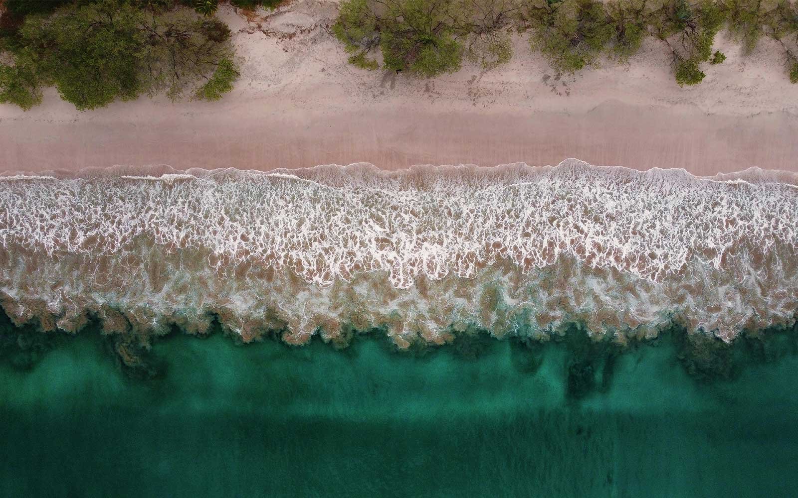 guanacaste