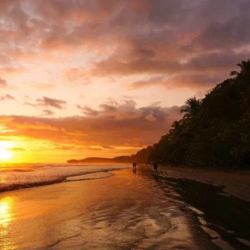 Playa del Pacifico Costa Rica