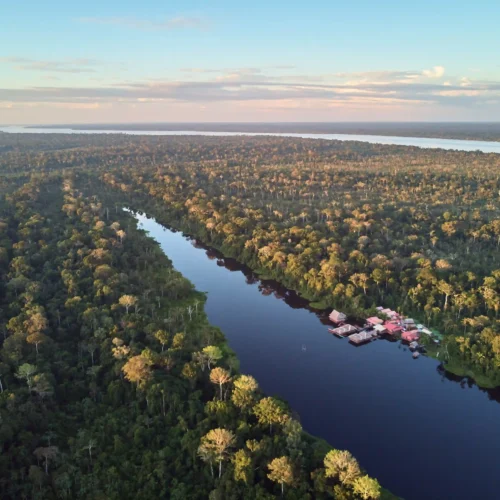 Viaje al Amazonas de Colombia: Selva y Biodiversidad