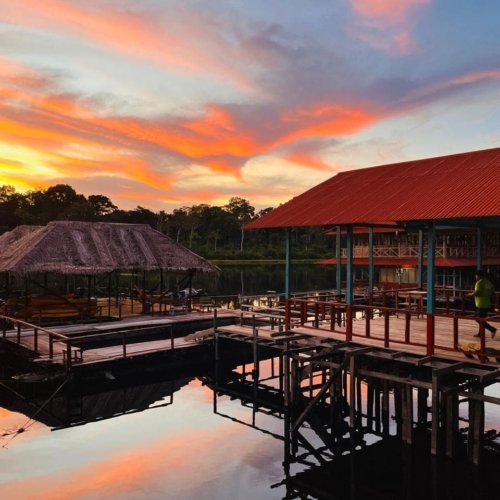 Viaje al Amazonas de Colombia: Selva y Biodiversidad