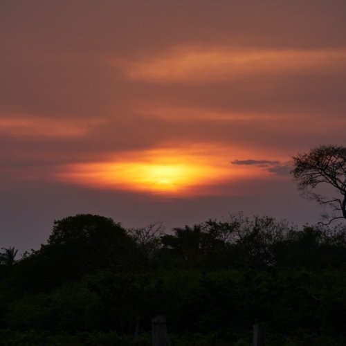 Atardecer en los Llanos Colombianos