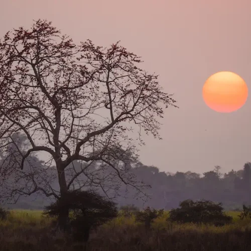 Atardecer en India viaje
