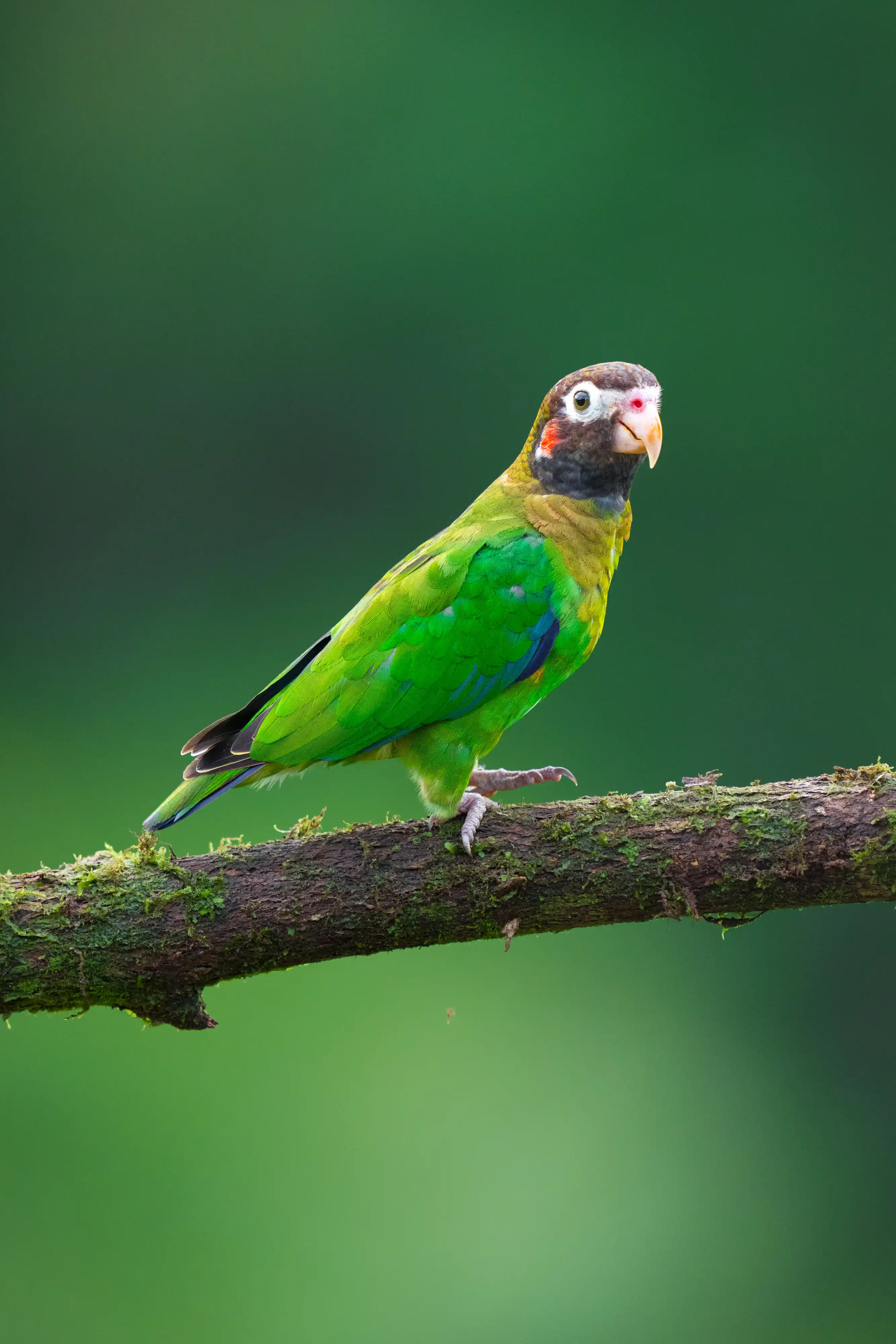 Viaje fotográfico en Costa Rica con Dozefoto