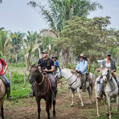 Cultura de los Llanos de Colombia