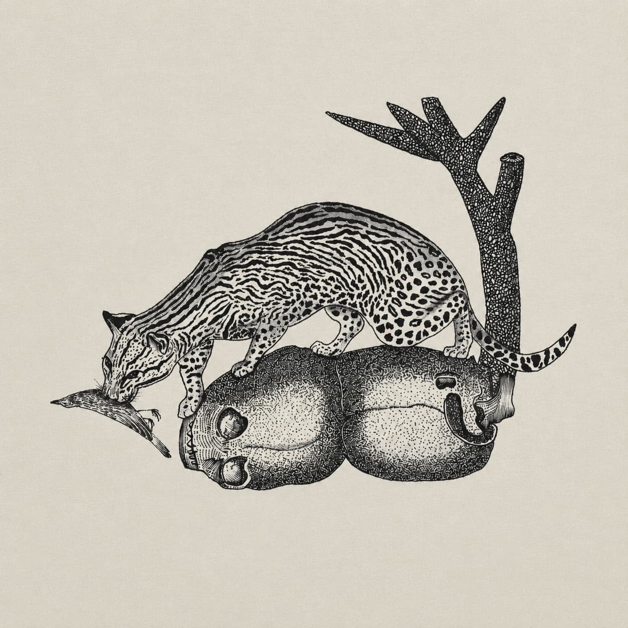 Camiseta de Fauna: Ocelote