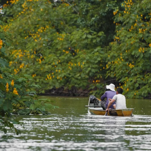 Safari en bote Caño Negro, Costa Rica
