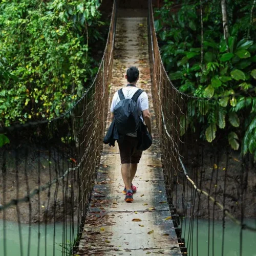 Descubre Corcovado viaje