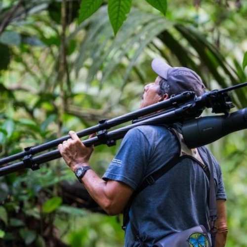 Guia en Corcovado, Costa Rica