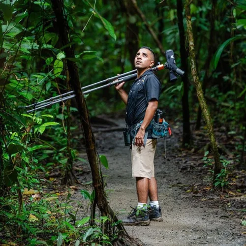 Guia en Corcovado