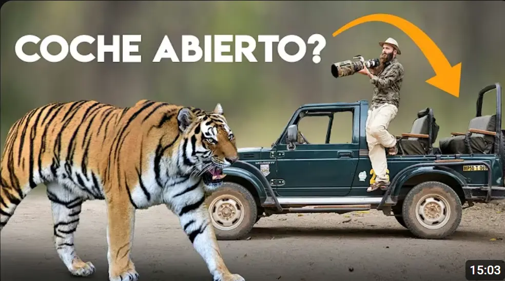 Tigres en India con Kike Arnaiz