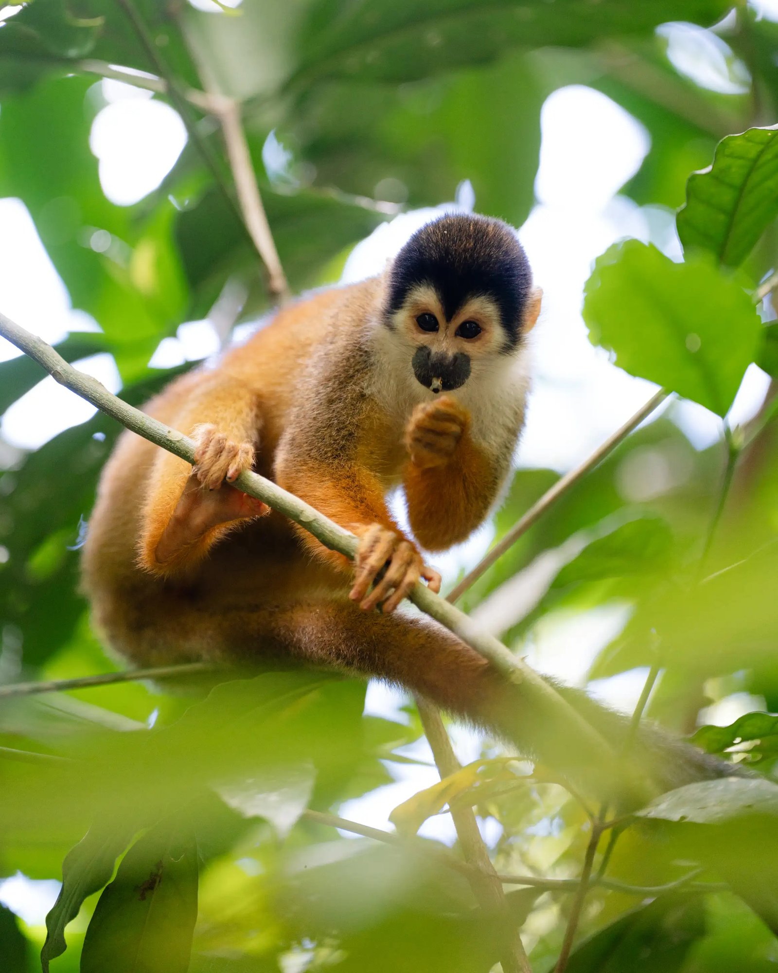 Viaje a Costa Rica con Kike Arnaiz