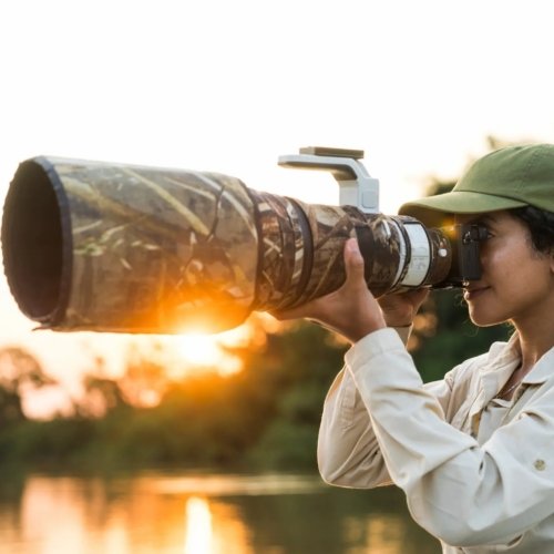 Viaje fotografico al Pantanal de Brasil