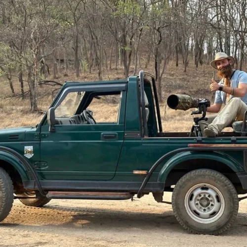 Safari India viaje organizado