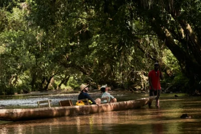 Viaje al Pacífico Colombiano: Ballenas y Selva